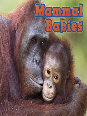 cover image of Mammal Babies